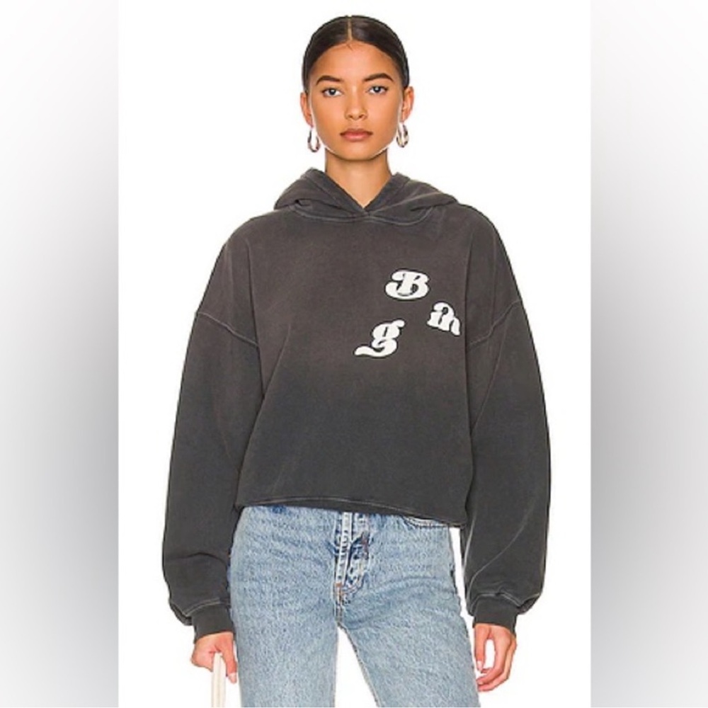 ANINE BING ALEC Hoodie Vintage Bing in washed grey